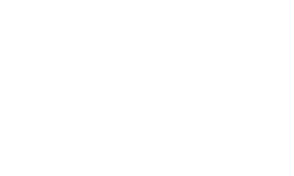 ChainAI logo